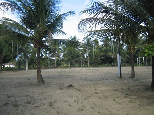 Foto 8